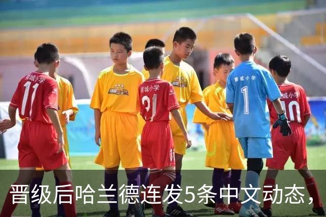 晋级后哈兰德连发5条中文动态，配乐尤爱伍佰《挪威的森林》